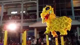 preview picture of video 'Múa Lân Trung Thu 2014, Hải Phòng - Lion Dance 2014 - Haiphong'