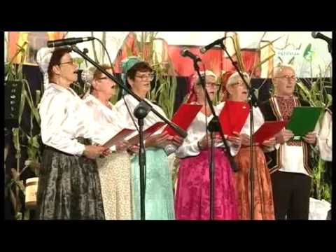 EJ, POTOČE, POTOČE - Kulturne Družtvo Rusnacoh zoz Vinkovcoh , RH