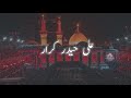 Haider E Karrar Slow Reverb Nadeem Sarwar
