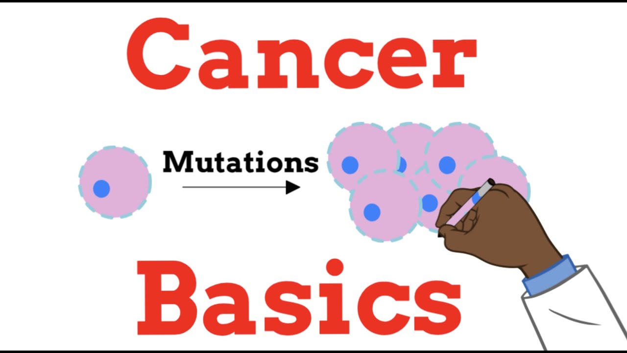 Introduction to Oncology  (Cancer Basics FOR BEGINNERS)
