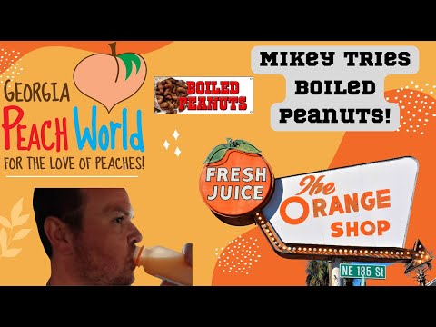 Roadside Attractions of 301 in FL and more! The Orange Shop, Georgia Peach World & More