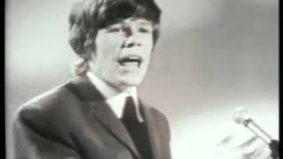 Herman's Hermits - Can't You Hear My Heartbeat