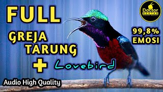 Download lagu KOLIBRI NINJA GACOR FULL ISIAN TEMBAKAN GEREJA TARUNG DAN LOVEBIRD COCOK BUAT MASTERAN KONIN BAHAN mp3