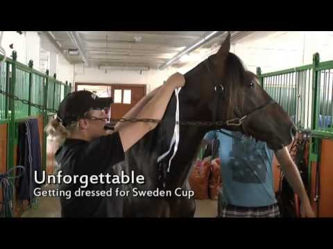 Elitloppet 2012. The Saturday Part 1