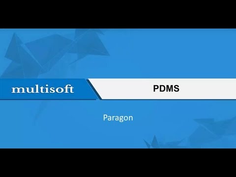 Sample video of PDMS Paragon 