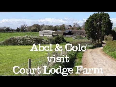 Court Lodge Farm