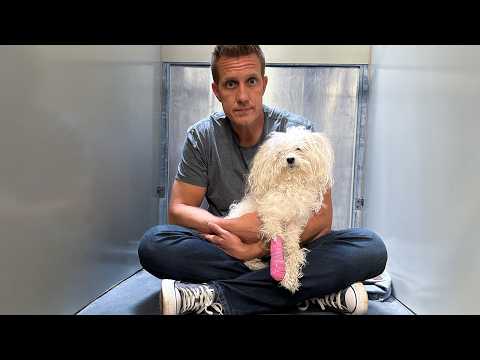 She kept holding her Paw Up... then we Saw Why