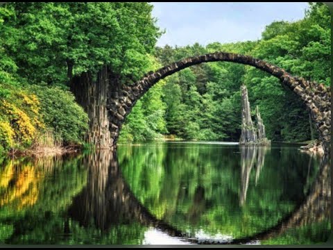 Nature Therapy . Relaxing Full Motion Forestry With Natural Sounds