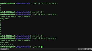 BASH Count Vowels in Strings Linux Shell Tutorial