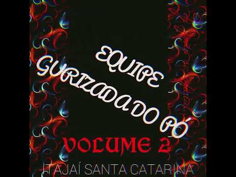 02 CD MEGA FUNK EQUIPE GURIZADA DO PÓ VOLUME 2