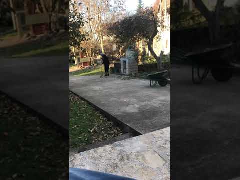 Jovic Djuka - Ridjane