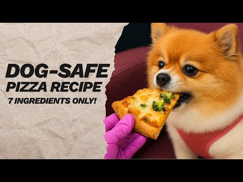 Healthy Dog-Friendly Pizza (7 Ingredients!)  | Healthy Homemade Treat Recipe