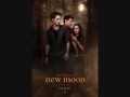 Satellite Heart- Anya Marina with Lyrics new moon ...