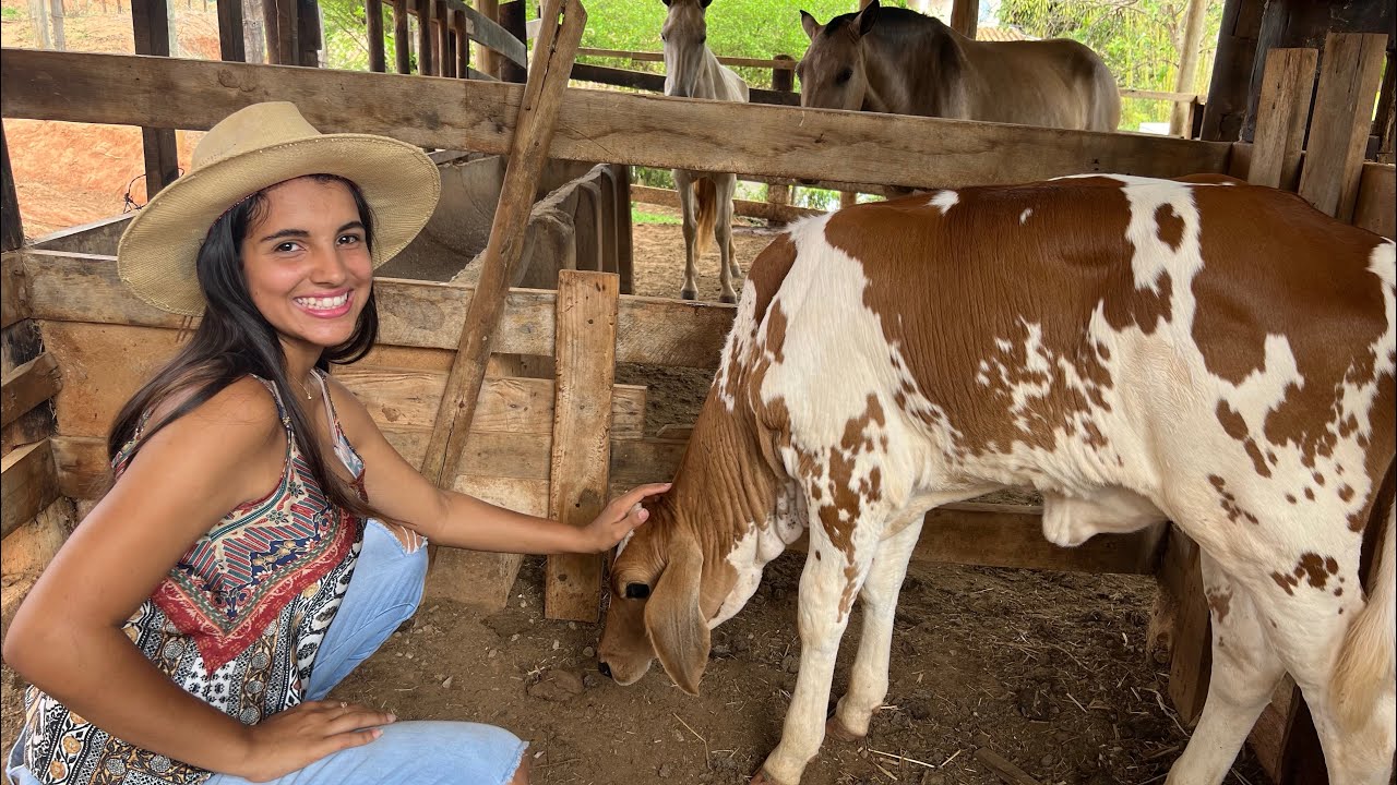 VENDEMOS O SÍTIO RECANTO DA SERIEMA!!!! #roça #sitio #vidanaroca