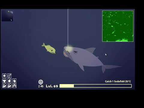 Cat Goes Fishing super droga ryba Stankfin