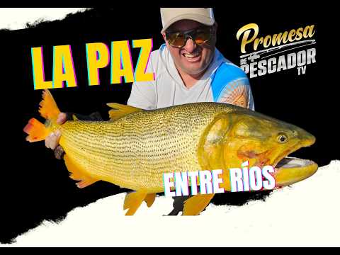 Pesca de Dorados grandes en La Paz (parte1)