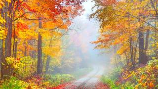 "A Hint of Autumn Across Vermont" Beautiful Relaxing Music, Peaceful Instrumental Music by Tim Janis