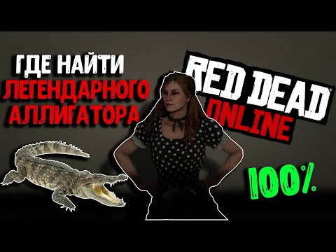 КАК И ГДЕ НАЙТИ ЛЕГЕНДАРНОГО АЛЛИГАТОРА | RED DEAD ONLINE | ОБНОВЛЕНИЕ