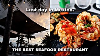 Eating at one of the Best restaurants in Mexico | Last day in Mexico
