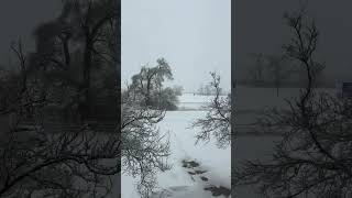 Snowing day in Kentucky 1/6/25 #usa #kentucky #live