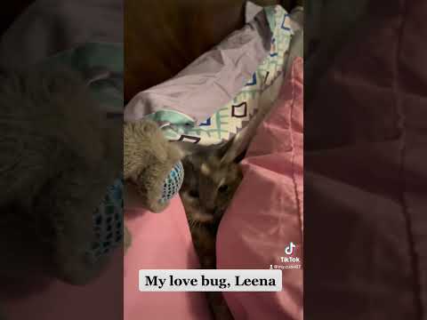 My crazy silly Leena