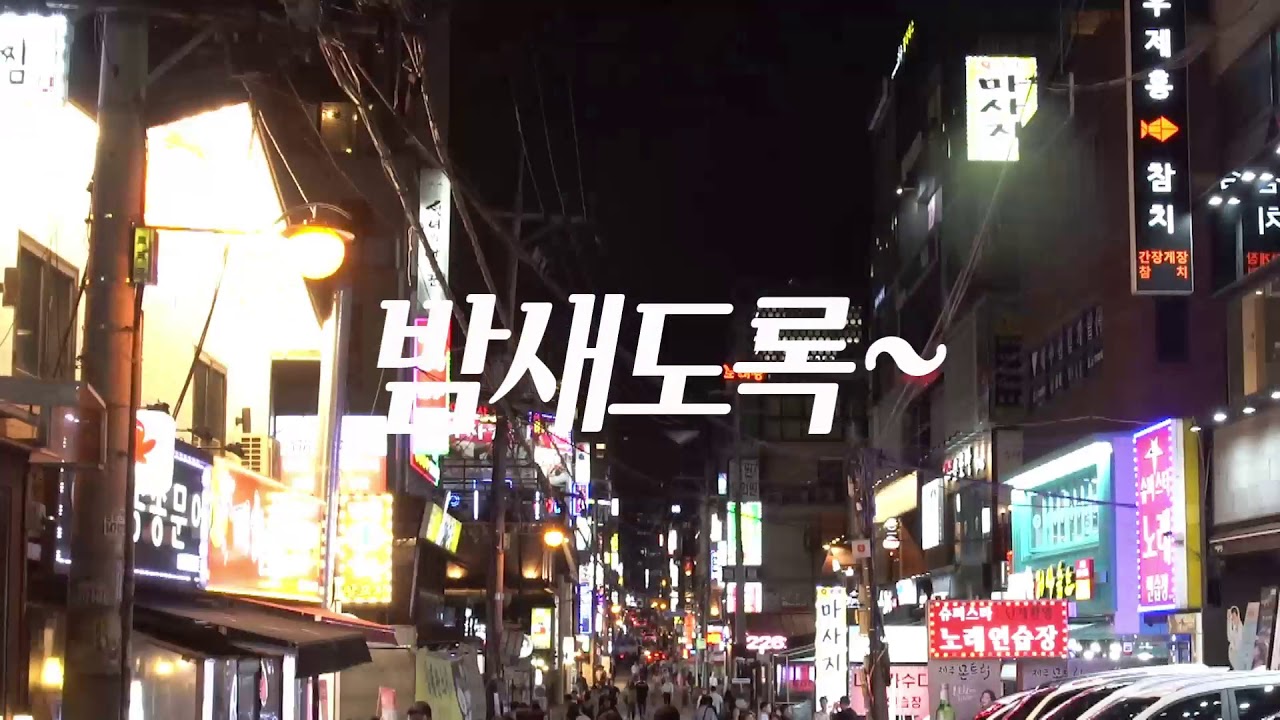 [새벽헛개가 떠오른다] 밤문화 편