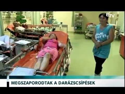 Híradó 2015. szeptember 2. – Erdélyi Magyar Televízió