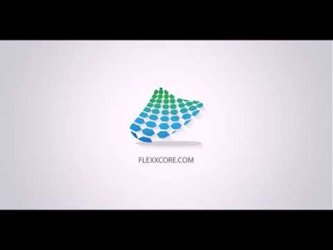 Video Image