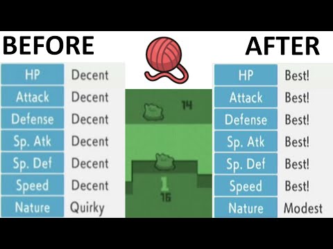 [part 1/2] Breeding 5-6 IV Pokemon FROM SCRATCH - BDSP Competitive Pokemon Breeding Guide