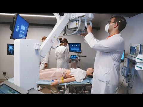 В ИМО планируется открытие «Точки кипения»