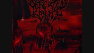 Defeated Sanity - Tortured Existence