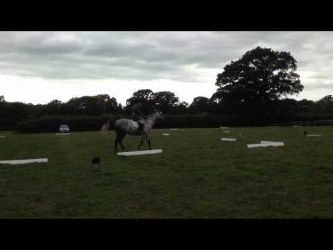 Holbrook Combined Training - Novice 24 13-08-24