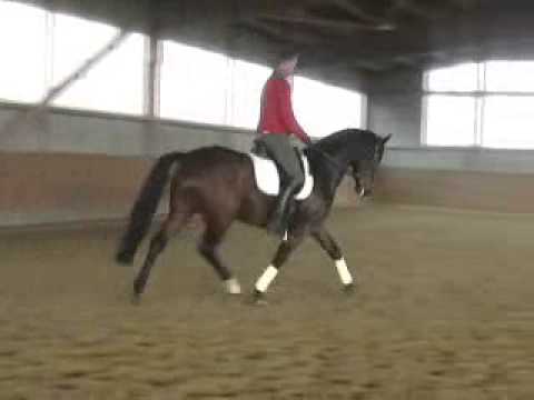 Belissimo Davignon neu komplett