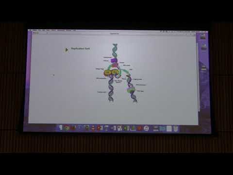 Lecture #44 Ahern's BB 451 - DNA Replication II