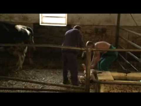 Uzel - veterinář, veterán a světoběžník 1/2