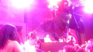 Deadmau5 spinning Andre Kraml - safari (james holden remix) w/ Armand Van Helden lyrics