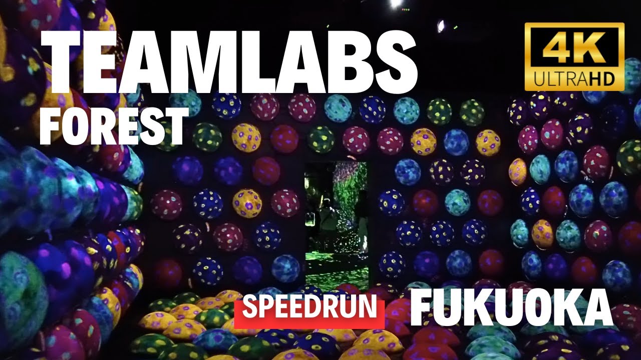 Embark on a captivating walking tour of the enchanting TeamLab Forest.