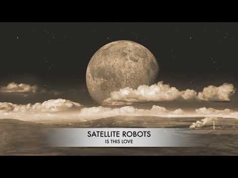Satellite Robots - Is This Love