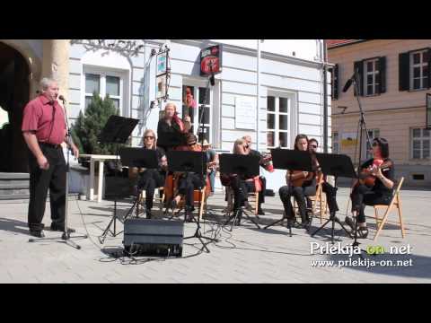 Pozdrav lovcem - 7. območno srečanje rogistov v Ljutomeru