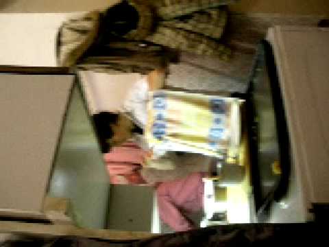 Agresivní Medynský