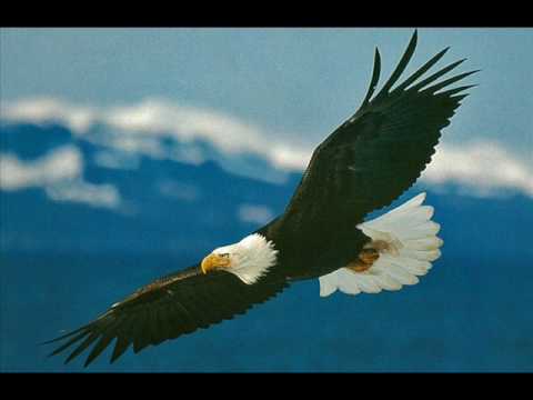 Mais Alto - Fernandinho