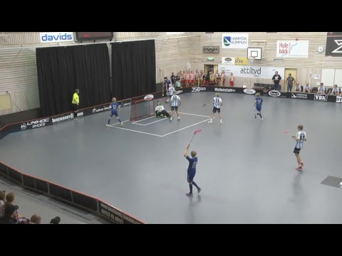 P02 Landvetter Wings - Sveiva