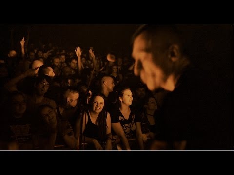 Terrorgruppe - Der Rhein Ist Tot (hochoffizielles Live-Video)