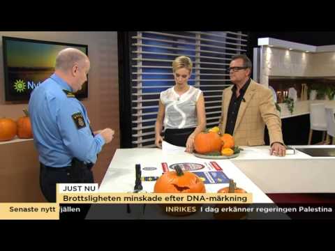 Skydda dig från inbrott med DNA-märkning - Nyhetsmorgon (TV4)