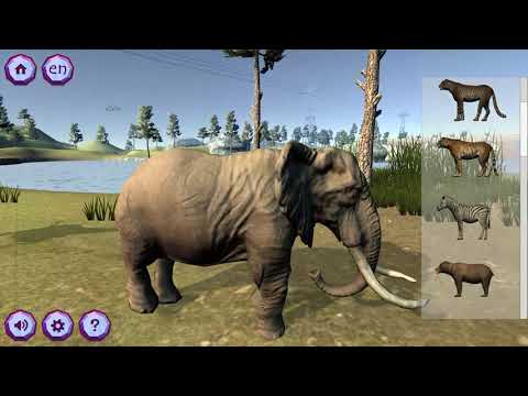Zookidi-3D video thumbnail