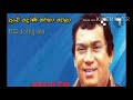 Punchi Doni Karoke With Lyrics පුංචි දෝනි H R Jothipala