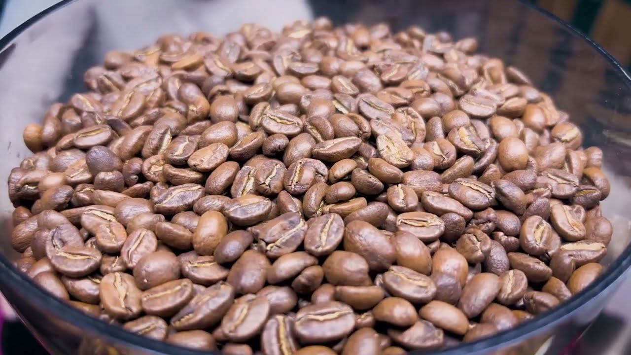 Urrao Paraíso Vivo - Click to play