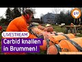 Carbidschieten live vanuit Brummen | Omroep Gelderland