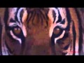Tyga - I'm Different Freestyle Official Music Video ...