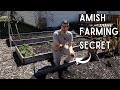 I Learned The CRAZIEST Garden Tip From an AMISH Farmer (Soil Test by sight)